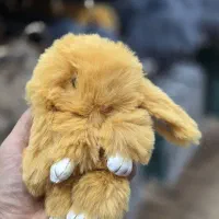 اویز خرگوشی پشمالو