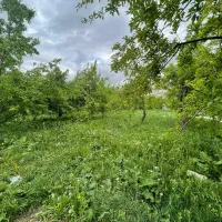 باغ اخلمد آب سند ملکی داخل مجموعه 325میلیون|فروش زمین و ملک کلنگی|چناران, |دیوار