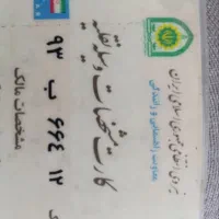 دزدیده شده|اشیا|مشهد, نظام دوست|دیوار