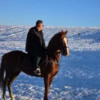 فروش فروی اسب نریان|اسب و تجهیزات اسبسواری|شاندیز, |دیوار