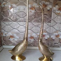 قوی عاشق