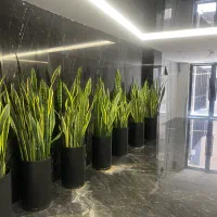 120متر-همکف-با-حیاط-اختصاصی-شریف-واقفی