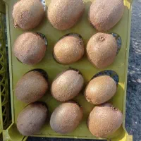 میوه سوپر لوکس میدان دادگستری