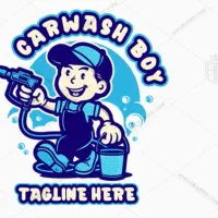 استخدام نیروی کار در کارواش