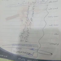 پراید۱۳۹۲ فول|خودرو سواری و وانت|قم, رضویه|دیوار