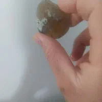 سنگ شجر خام|کلکسیون اشیاء عتیقه|قروه, |دیوار