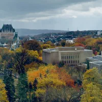 زمین مزروعی برنج