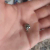 برشو یا سکه ی قدیمی