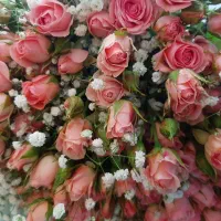 دسته گل رز مینیاتوری صورتی