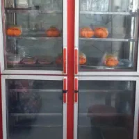 یخچال مرغ (چهاردرب)تضمینی