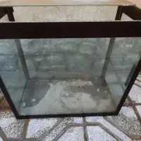 اکواریوم