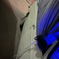 پیکان وانت مدل ۱۳۹۰|خودرو سواری و وانت|محمدشهر, ولدآباد|دیوار