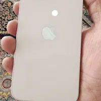 آیفون ۱۳ نرمال|موبایل|آشخانه, |دیوار