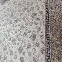 ۲تخته فرش ۲/۵ × ۳/۵ ،۹متر۱۲۰۰تراکم نوپلمب فرش مشهد|فرش|مشهد, عبادی|دیوار
