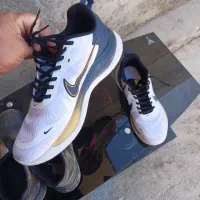 کفش اصل|کیف، کفش، کمربند|مشگین شهر, |دیوار