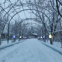 اجاره-باغ-ویلا-گلمکان