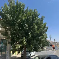 سرمایه گذاری