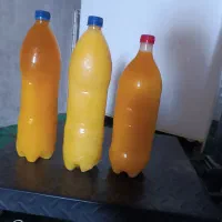 روغن حیوانی اصل