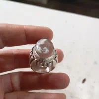 یک عدد انگشتر شجر نایاب نیست در جهان