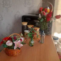 گل و گلدان|گل مصنوعی|قدس, شهرقدس|دیوار