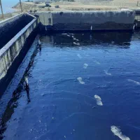 نصب و اجرای ایزوگام وقیرضمانت کتبی۲۵ساله کل تهران|خدمات پیشه و مهارت|تهران, یافت آباد جنوبی|دیوار