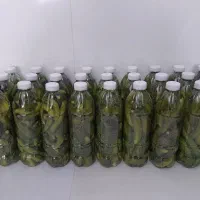 خیارشور بهداشتی  هم دبه ای موجود است هم بطری