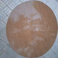 میز خاطره گرد|مبلمان خانگی و میز عسلی|مهدی شهر, |دیوار