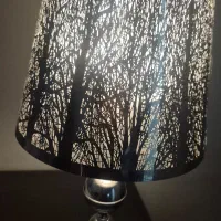 آباژور زیبا