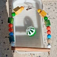 وسایل مورد نیاز طوطی|لوازم جانبی حیوانات|همدان, |دیوار