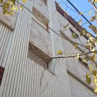 استاد کار آجر نما و سرامیک نما|خدمات پیشه و مهارت|خیرگو, |دیوار