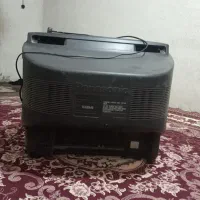 تلویزیون|تلویزیون و پروژکتور|بهبهان, |دیوار