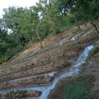 باعچه جمال آباد|فروش زمین و ملک کلنگی|انزل, |دیوار