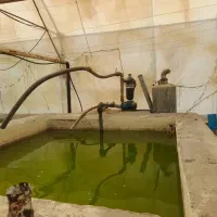 گلخانه|فروش دفتر صنعتی، کشاورزی، تجاری|قم, هنرستان|دیوار