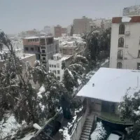 واحد-110-متری-دادگستری