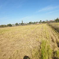 فروش زمین با مجوز گلخانه|فروش زمین و ملک کلنگی|ساری, |دیوار