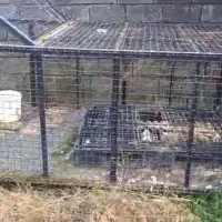 قفس سگ چرخ دار