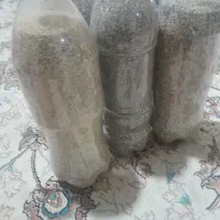 بذر کشاورزی