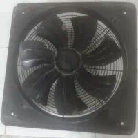 فن ژن ایران 50در50