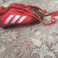 کفش فوتبالی چمن