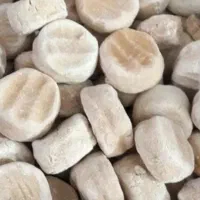 کشک درجه یک گوسفندی اگه پسند نکردی پس میگیرم|خوردنی و آشامیدنی|تهران, آرارات|دیوار