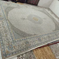 فرش ۱۲ متری|فرش|گرگان, |دیوار