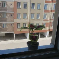 فروش-آپارتمان-در-منطقه-ویژه-گلبهار-مجتمع-شمس