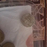 سکه عراقی کلیکسیونی