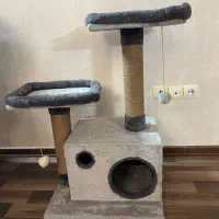 خانه گربه