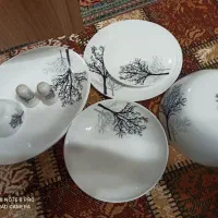 سرویس 24نفره