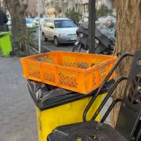 سبد پلاستیکی