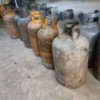 کپسول زرد. و سیاه فروشی