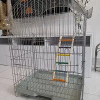 قفس پرنده