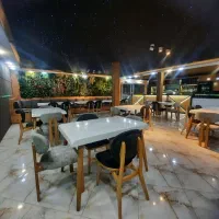 نیرو ساده