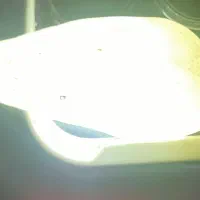 تعدادسنگهای قیمتی عقیق وجاس وشجر.ومشکوک ب شهاب|کلکسیون اشیاء عتیقه|شال, |دیوار